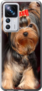 

Чохол Нарисованный йоркширский терьер для iPhone на Xiaomi 12T Pro 1634741