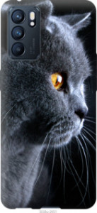 Чехол Красивый кот для Oppo Reno6 5G