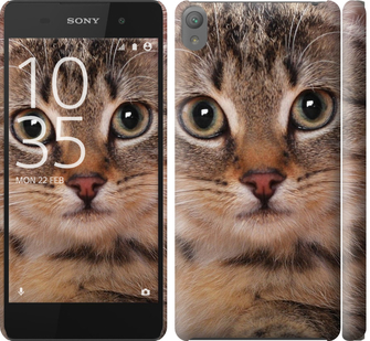 

Чехол Полосатый котик для Sony Xperia E5 F3311 175717