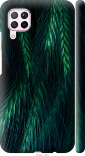

Чехол Колоски для Huawei Nova 6SE 942359