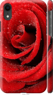 

Чехол Красная роза для iPhone XR 948363