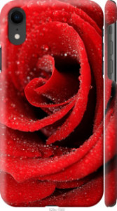 Чехол Красная роза для iPhone XR