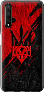 Чехол Герб v4 для Huawei Nova 5T