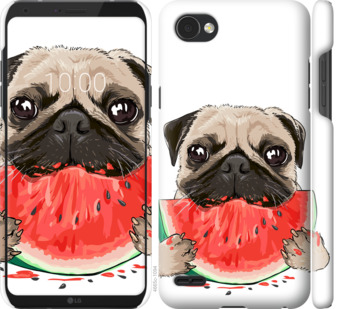 

Чехол Мопс и арбуз для LG Q6 843612