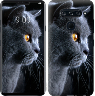 

Чехол Красивый кот для HTC U12 Plus 776209