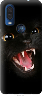 

Чохол Чорна кішка на Motorola One Vision 1036448