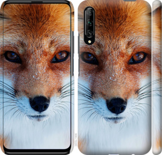 Чехол Рыжая лисица для Huawei P Smart Pro
