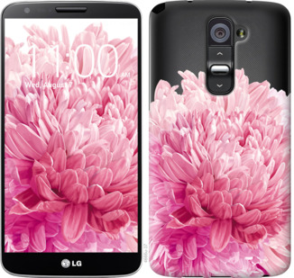 

Чехол Хризантема для LG G2 844316