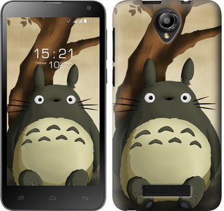

Чехол Мой сосед Тоторо для Fly IQ4514 556551