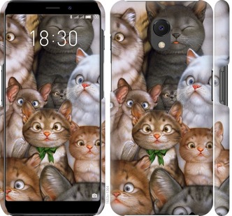 

Чохол коты для Meizu M6s 757689