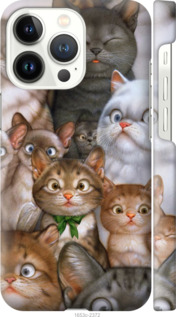 

Чохол коти на iPhone 13 Pro 1395596