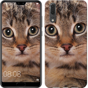 

Чохол Смугастий котик на Meizu E3 659460