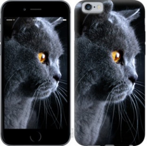 Чехол Красивый кот для Motorola Moto E5 Plus