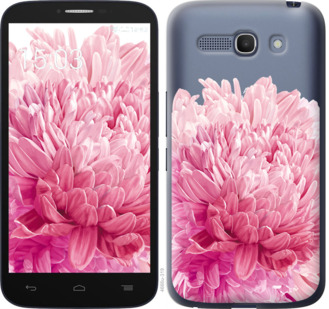 

Чехол Хризантема для Alcatel One Touch POP C9 844714