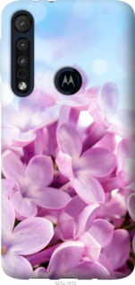 

Чехол Сирень для Motorola One Macro 1574751