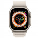 Фото Ремінець Alpine Loop для Apple watch 42mm/44mm/45mm/49mm (m/l) (Сірий / Starlight) на vchehle.ua