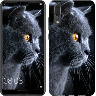

Чохол Гарний кіт на Meizu E3 657654