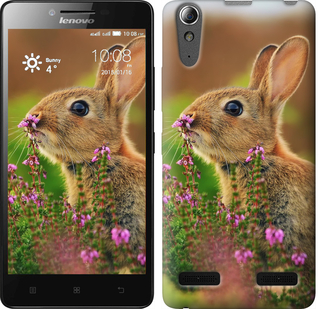 

Чехол Кролик и цветы для Lenovo A6000 149954