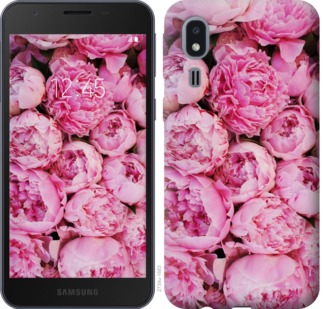 

Чохол Півонії v3 на Samsung Galaxy A2 Core A260F 764648