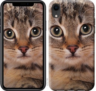 

Чехол Полосатый котик для iPhone XR 675802