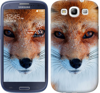 

Чехол Рыжая лисица для Samsung Galaxy S3 Duos I9300i 577798