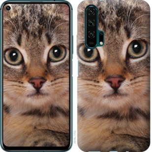 

Чехол Полосатый котик для Huawei Honor 20 Pro 742409