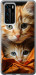 Чохол Котики 2 на Huawei P40
