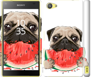 

Чохол Мопс і кавун на Sony Xperia Z5 Compact E5823 843662