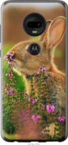 Чехол Кролик и цветы для Motorola Moto G7