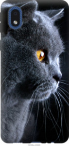 Чехол Красивый кот для Samsung Galaxy A01 Core