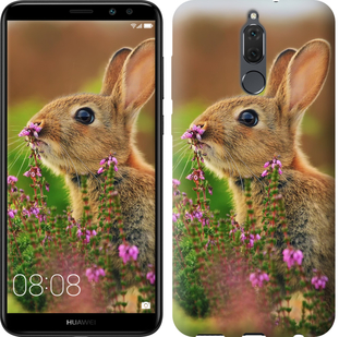 

Чехол Кролик и цветы для Huawei Mate 10 Lite 656674