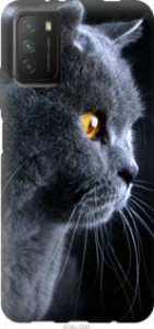 Чехол Красивый кот для Xiaomi Poco M3