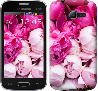 

Чохол Рожеві півонії на Samsung Galaxy Star Plus S7262 226941
