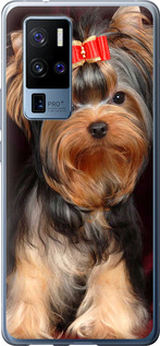 

Чохол Нарисованный йоркширский терьер для iPhone на Vivo X50 Pro Plus 1634755