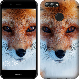 

Чехол Рыжая лисица для Huawei Nova 2 577842