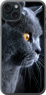 

Чохол Гарний кіт на iPhone 15 Plus 1693911