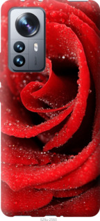 

Чехол Красная роза для Xiaomi 12 Pro 1574035