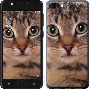 

Чехол Полосатый котик для Asus ZenFone 4 Max ZC554KL 699134