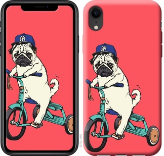 

Чохол Мопс на велосипеді на iPhone XR 671006