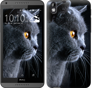 

Чохол Гарний кіт на HTC Desire 816 116952