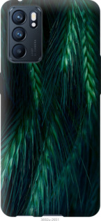 

Чехол Колоски для Oppo Reno6 5G 1580092