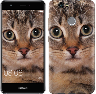 

Чохол Смугастий котик на Huawei Nova 175773