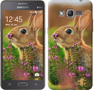 

Чохол Кролик і квіти на Samsung Galaxy Grand Prime G530H 149885